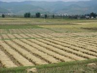 華興自然村 華興自然村