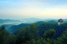 桃花江竹海風景區