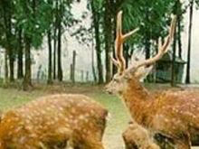 五指山旅遊景區