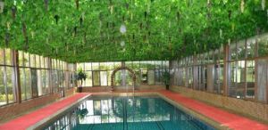 金孔雀溫泉養生中心