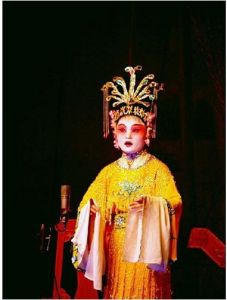 雷劇特殊的唱腔、特別是他們所採用的獨特語言，再加上深厚的傳統習俗等等因素，決定了雷劇有其存在的特殊性。