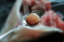 完整挖取青魚石的方法