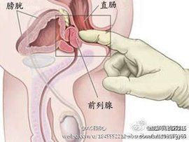 前列腺快感 前列腺快感