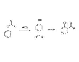 Fries重排 Fries重排