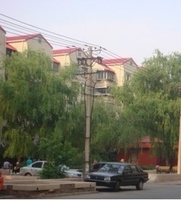 金宏泰家園 金宏泰家園