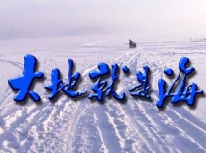 大地就是海 大地就是海