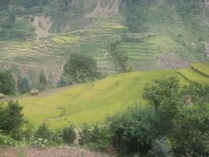 安西拉村 安西拉村