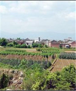 王彥廠村 王彥廠村