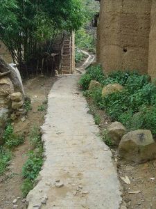 對門地村 對門地村