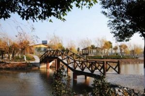 南匯漁樂灣 南匯漁樂灣