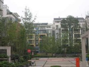 金沙西園一期 金沙西園一期