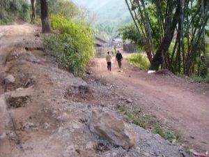 小新坪二村 小新坪二村