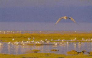 玉樹藏族自治州