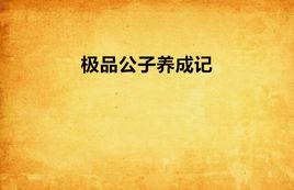 極品公子養成記 極品公子養成記