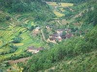 大洞口村 大洞口村