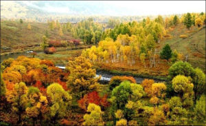 阿爾山國家森林公園