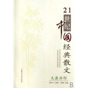 天涯遊蹤 天涯遊蹤