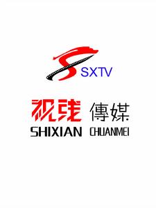 深圳市視線文化傳媒有限公司 深圳市視線文化傳媒有限公司
