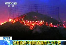 5·31中儲糧直屬庫火災事故 5·31中儲糧直屬庫火災事故