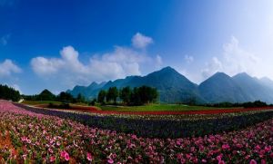 文峰鄉森林公園 文峰鄉森林公園