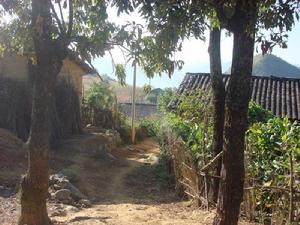 南瓜自然村村內道路