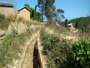 東莊自然村 東莊自然村