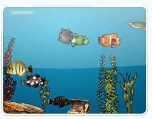 水族館尋魚 水族館尋魚