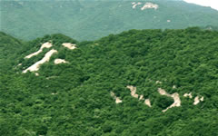 天池山國家森林公園