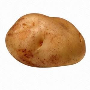 potato potato