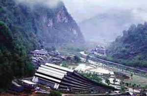 阿凡達主題游綜合事務辦公室 阿凡達主題游綜合事務辦公室