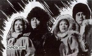 《王氏四俠》 《王氏四俠》