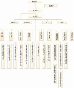 地產開發組織架構 地產開發組織架構
