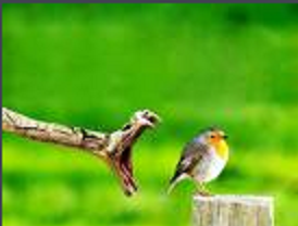 看了會寒戰的圖