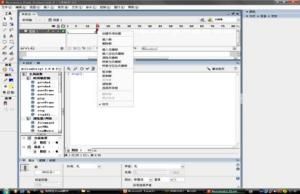 執行命令中的flase頁面