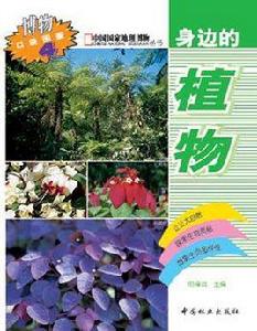 身邊的植物 身邊的植物