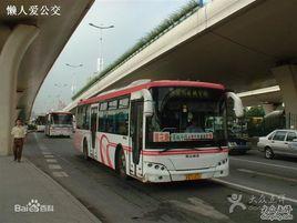 蓮楓專線 蓮楓專線