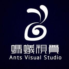 螞蟻視覺 螞蟻視覺