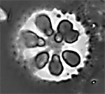 中國科學院南京地理與湖泊研究所
