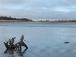 （圖）馬更些河