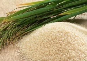 響水大米 響水大米