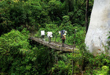 墨脫的藤橋與溜索