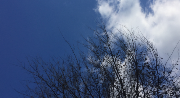 北京的冬天 北京的冬天