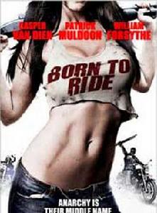 無敵車隊 無敵車隊