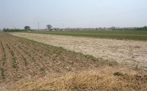 小郭莊村 小郭莊村