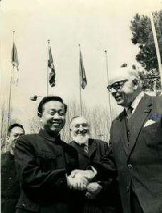 沈平[中國外交官員]