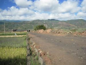 黃花坪村 黃花坪村