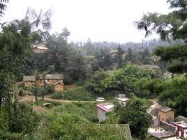 大松棵村 大松棵村