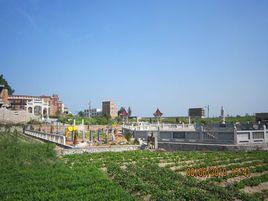 張厝村[福建省泉州市晉江市東石鎮下轄村]