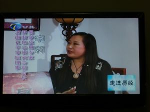 做客天津電視台講解清東陵龍脈與易經