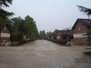 澄潭江鎮 澄潭江鎮